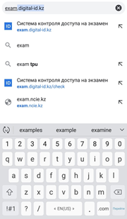 Қолжетімділікті бақылау жүйесін тестілеу жөніндегі нұсқаулық