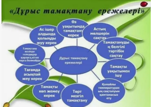 Дұрыс тамақтану ережелері