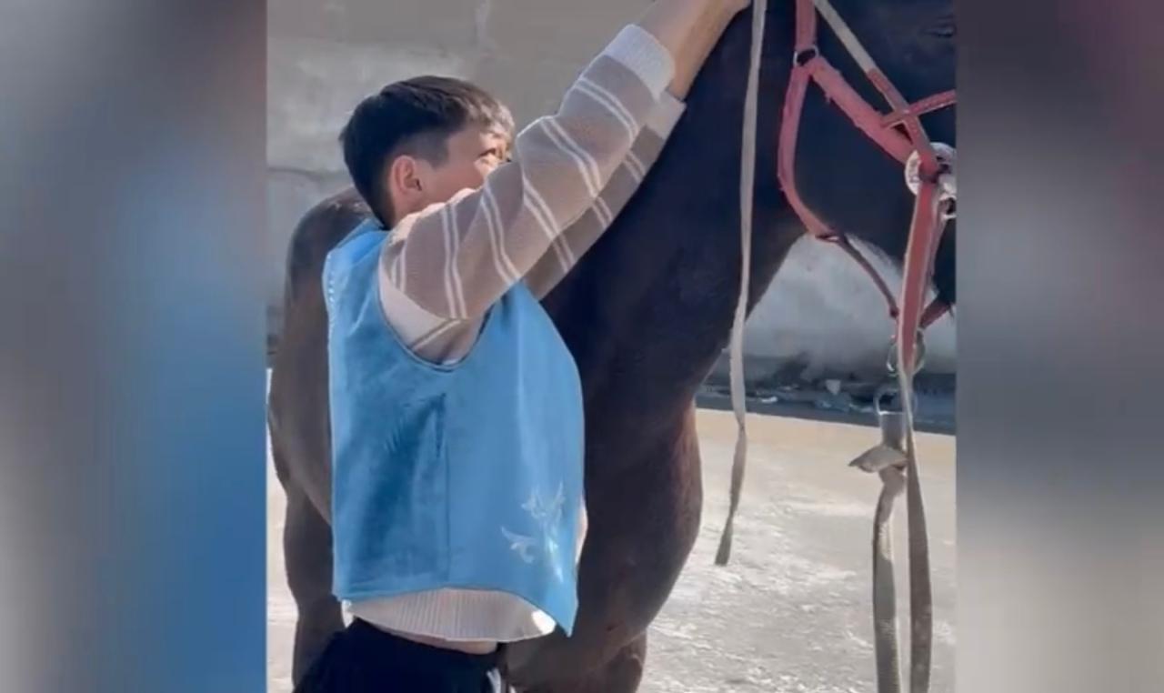 "Шаңырақ" күні